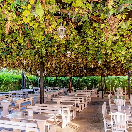 فندق Izola Paradise